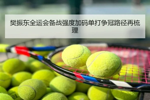 樊振东全运会备战强度加码单打争冠路径再梳理